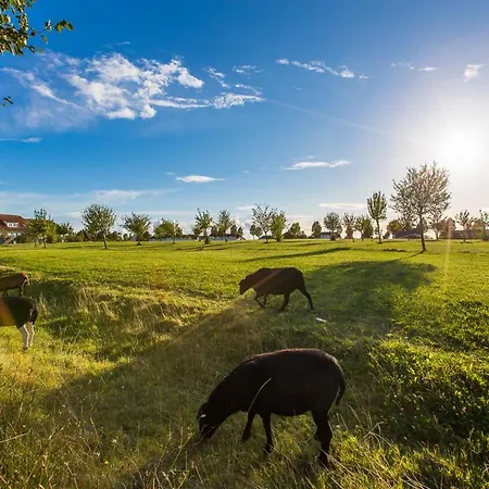 Ferienwohnung Moin Neddesitz Esterno foto